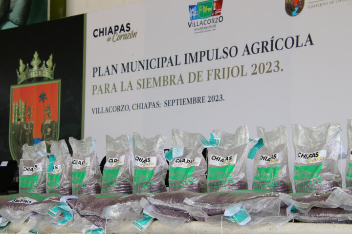 Encabeza Rutilio Escandón entrega de insumos agrícolas para la siembra de frijol en Villa Corzo