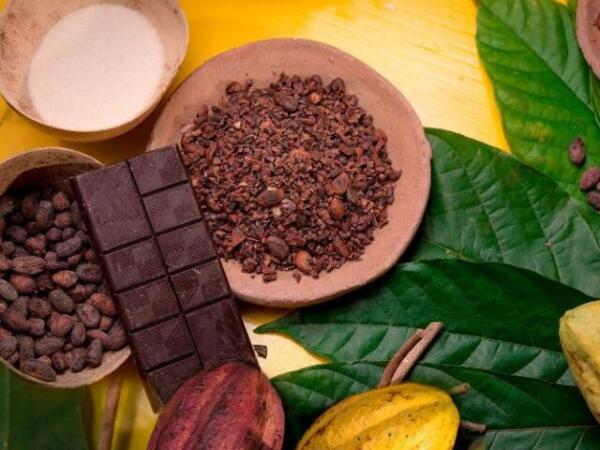Convocan a productores tabasqueños a participar en Concurso Nacional de Chocolate Mexicano