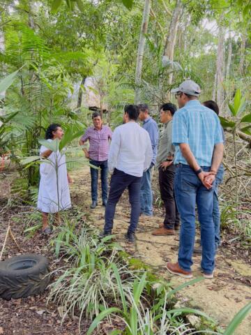 SEDENA, SEGOB y Gobierno de Chiapas coordinan atención en la selva Lacandona