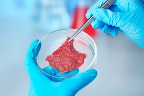 Italia se convierte en el primer país europeo en prohibir la carne sintética