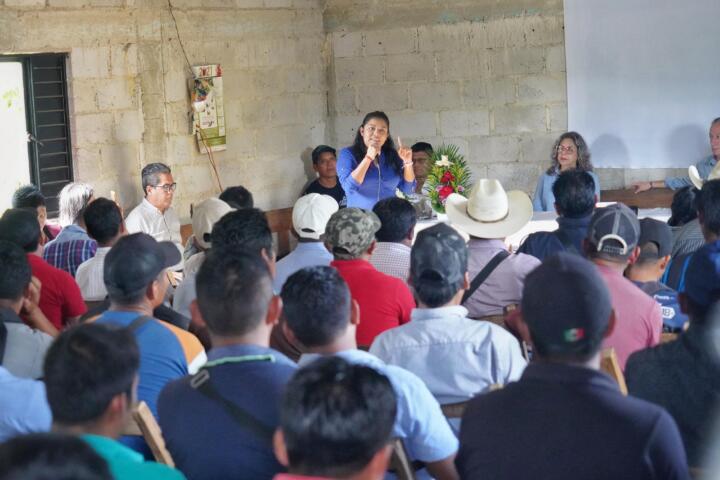 Reunión de Antonio Santos delegado político de Claudia Sheinbaum en Chiapas con productores del ejido Jerusalén en Ocosingo