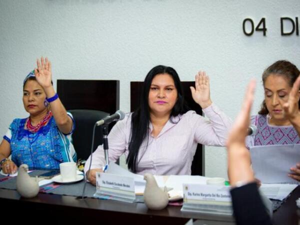 Analizamos avances en reformas a Ley de Atención a Víctimas para el Estado de Chiapas: Elizabeth Escobedo