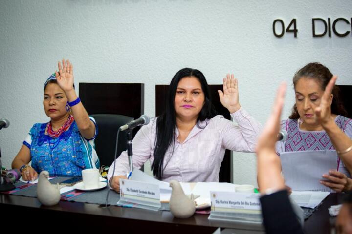 Analizamos avances en reformas a Ley de Atención a Víctimas para el Estado de Chiapas: Elizabeth Escobedo 