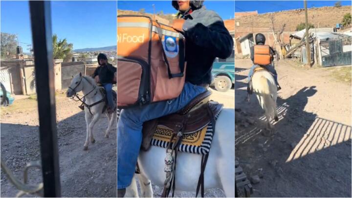 Repartidor de comida a domicilio se hace viral por hacer entregas usando un caballo (VIDEO)