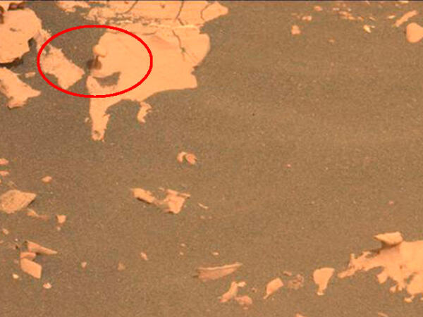 Rover Perseverance descubre formación rocosa con forma de hongo en Marte: ¿Podría ser un indicio de agua en el pasado?