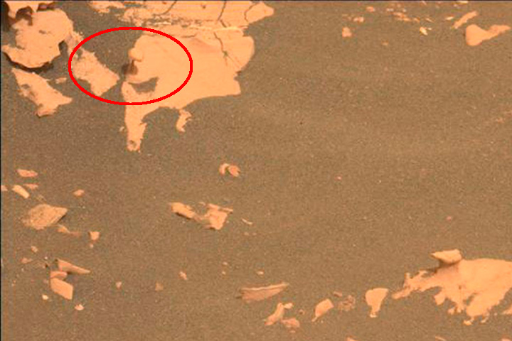 Rover Perseverance descubre formación rocosa con forma de hongo en Marte: ¿Podría ser un indicio de agua en el pasado?