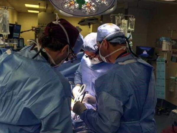 Paciente trasplantado con riñón de cerdo recibe el alta
