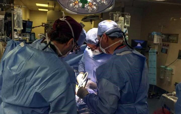 Paciente trasplantado con riñón de cerdo recibe el alta