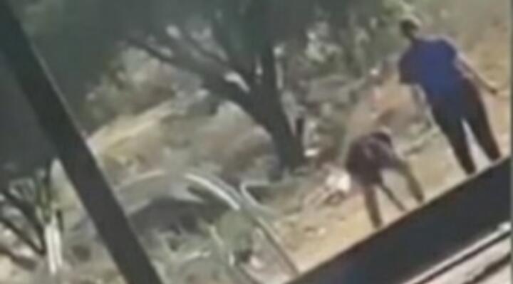 Perrito muere tras proteger a mujer y bebé de un agresor (VIDEO)