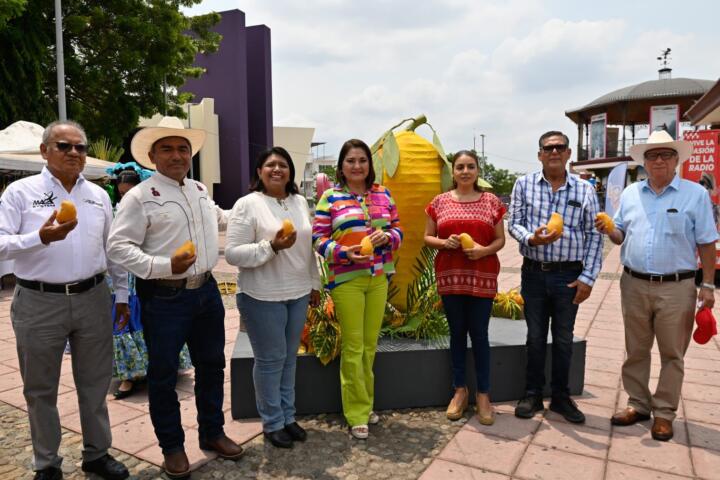 Realizan 2º. Festival Internacional del Mango Ataulfo del Soconusco en Tapachula