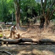 Realizan mantenimiento en parque Los Cerritos de Tapachula