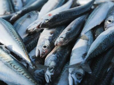 Reemplazar carne roja por sardinas podría evitar 750.000 muertes