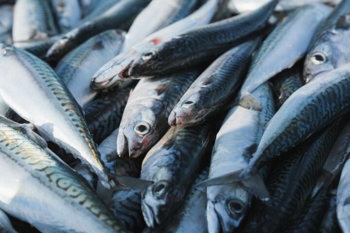 Reemplazar carne roja por sardinas podría evitar 750.000 muertes