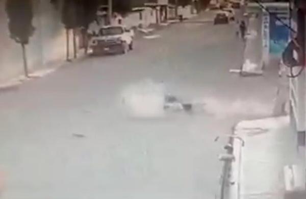 Video viral: Dos mujeres son derribadas por perros que corrían a gran velocidad