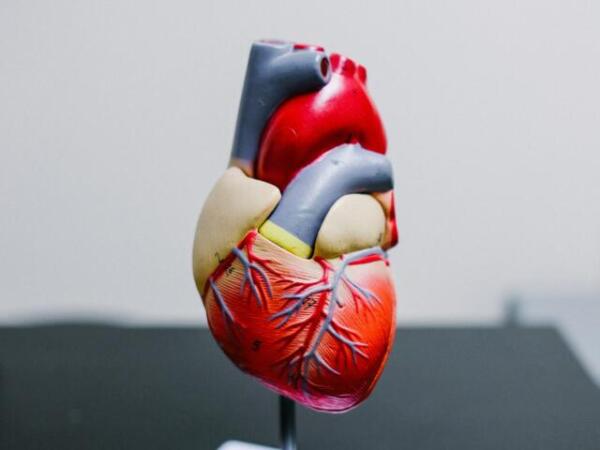 ¿Latidos irregulares? Alerta de arritmia cardíaca: Conoce sus causas y síntomas