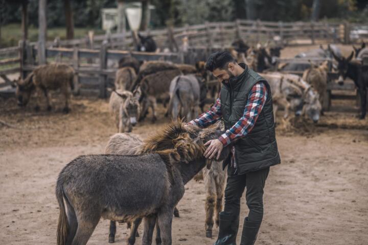 Zoonosis: ¿Por qué los humanos corren mayor riesgo de contraer estas enfermedades?