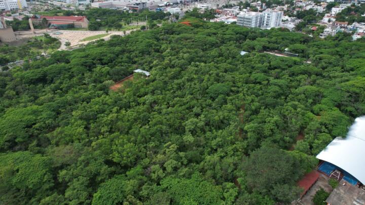 "Tuxtla Gutiérrez impulsa su compromiso ambiental con reforestaciones en el Parque FUNDAMAT y la Reserva La Laguna"