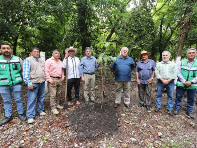 "Tuxtla Gutiérrez impulsa su compromiso ambiental con reforestaciones en el Parque FUNDAMAT y la Reserva La Laguna"