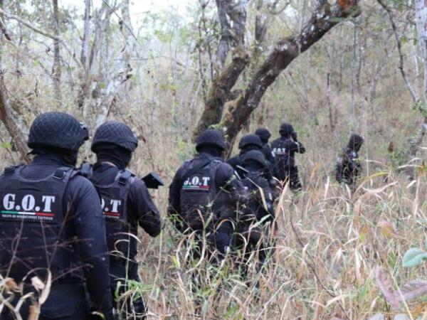 Grupo de Operaciones Tácticas de la Policía Municipal ha desarticulado más de 30 bandas delictivas