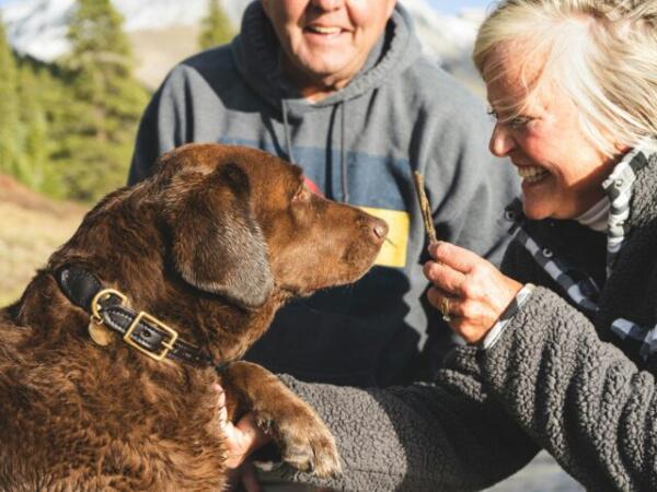 Estudio revela cómo tener un perro puede reducir la ansiedad y la depresión en mujeres