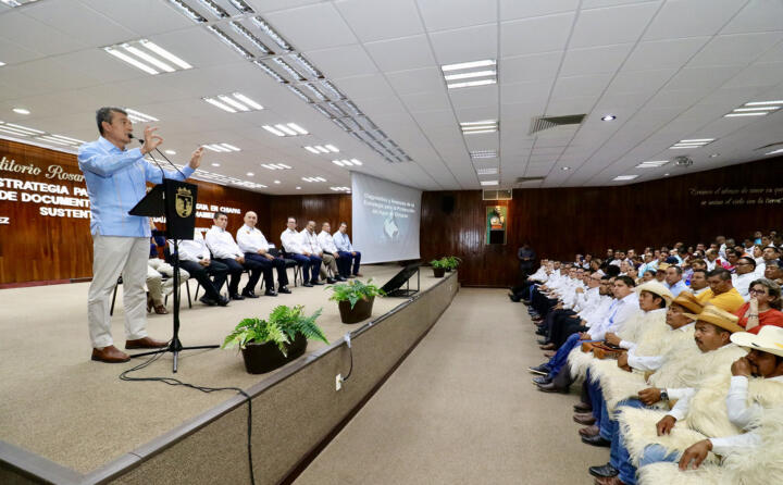 Destaca Rutilio Escandón avances de la Estrategia para la Protección del Agua en Chiapas