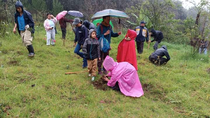 Concluye la Decimoséptima Campaña de Reforestación en SCLC