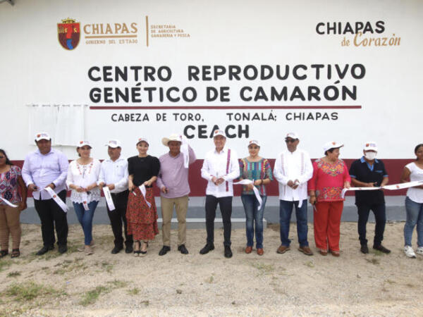 En Tonalá, Rutilio Escandón inaugura el Centro Reproductivo Genético de Camarón