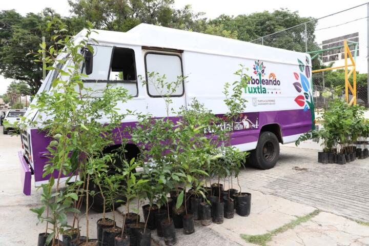 Angel Torres pone en marcha campaña “Arboleando Tuxtla”