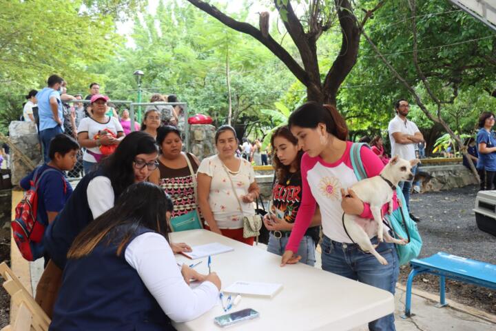 Chiapas rebasa meta de Jornada Latinoamericana de Esterilización Canina y Felina