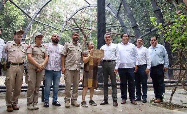 Inaugura Rutilio Escandón remodelación de los recintos del jaguar Yojk y de la nutria en el ZooMAT