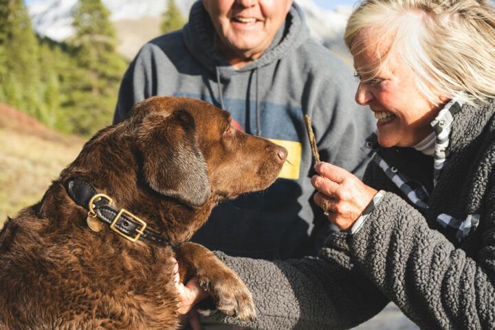 ¿Cuál es la esperanza de vida de tu perro? Estas son las cifras por raza