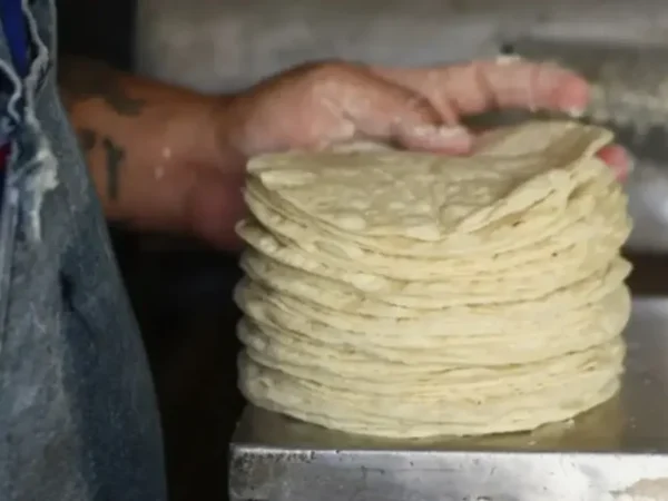 Tortilla a 32 pesos por kilo: ¿Qué está detrás del aumento en 2025?