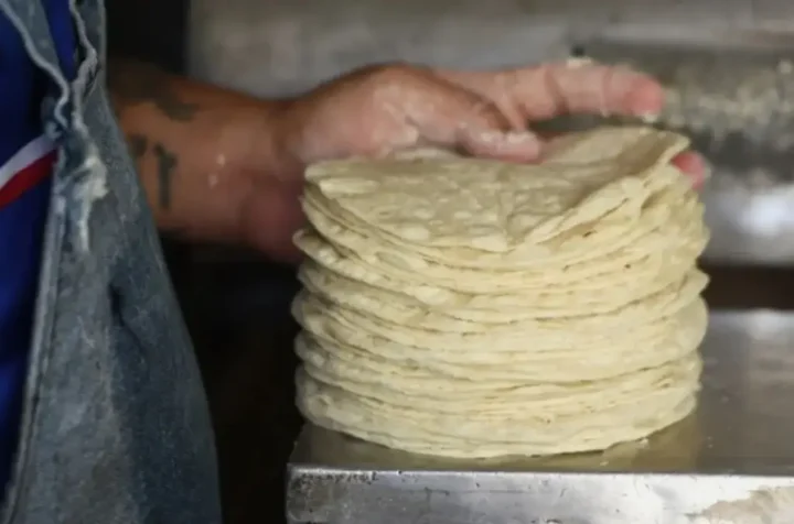 Tortilla a 32 pesos por kilo: ¿Qué está detrás del aumento en 2025?