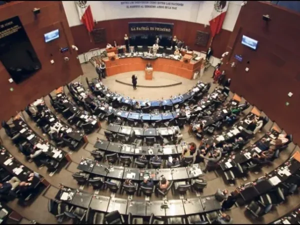 ¡Aprobada la Ley Silla! Trabajadores tendrán derecho a condiciones más dignas