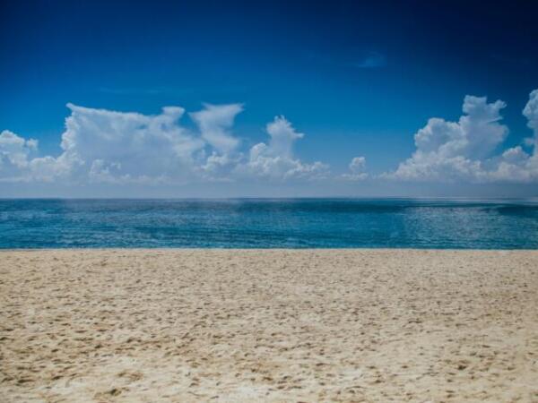 ¿Planeas ir a la playa? Conoce las playas seguras según Cofepris