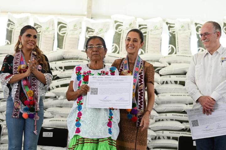 El Programa de Fertilizantes Gratuitos ya es un derecho constitucional de las y los campesinos: Presidenta Claudia Sheinbaum