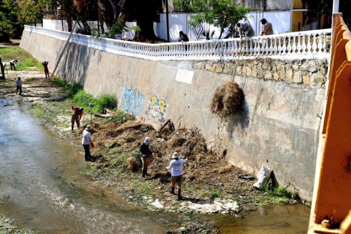 Supervisa Angel Torres acciones de limpieza y desazolve del río Sabinal y afluentes