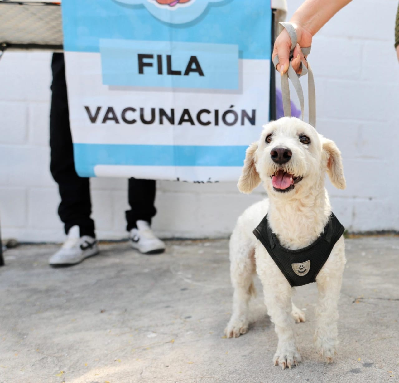 Llega con gran convocatoria Chucho Móvil al Fraccionamiento La Misión