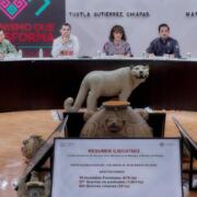 Realizan seguimiento y evaluación de la Estrategia de Prevención y Combate de Incendios Forestales en Chiapas