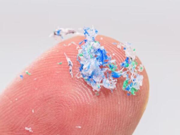 La inhalación de microplásticos afecta el sistema inmune pulmonar, según estudio