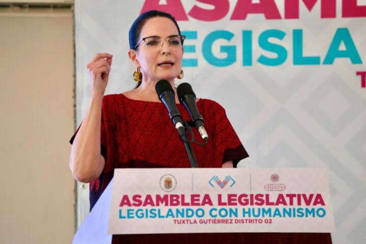 Seguiré legislando con vocación humanista: María Mandiola