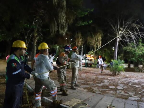 Ayuntamiento de Tuxtla retira árboles secos en Caña Hueca como medida de prevención