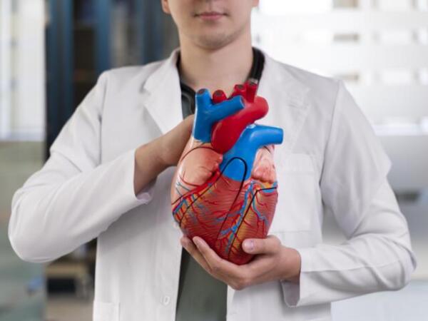 Descubren cómo el colesterol daña el corazón desde el interior y prueban una terapia para revertirlo