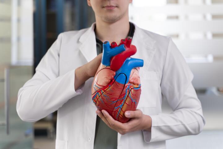 Descubren cómo el colesterol daña el corazón desde el interior y prueban una terapia para revertirlo Descubren cómo el colesterol daña el corazón desde el interior y prueban una terapia para revertirlo