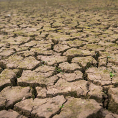 ¿Se está quedando México sin agua? Esto dicen los expertos sobre el futuro hídrico