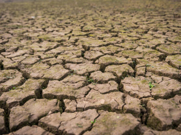 ¿Se está quedando México sin agua? Esto dicen los expertos sobre el futuro hídrico