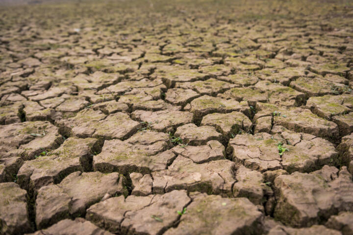 ¿Se está quedando México sin agua? Esto dicen los expertos sobre el futuro hídrico ¿Se está quedando México sin agua? Esto dicen los expertos sobre el futuro hídrico