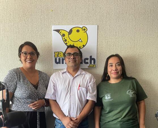 Restos óseos revelan causas de muerte entre antiguos mesoamericanos Antropología física y arqueología, ciencias que descubren datos clave del pasado