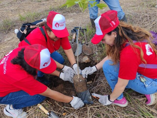 Semahn arranca campaña estatal de reforestación "Raíces de mi tierra"