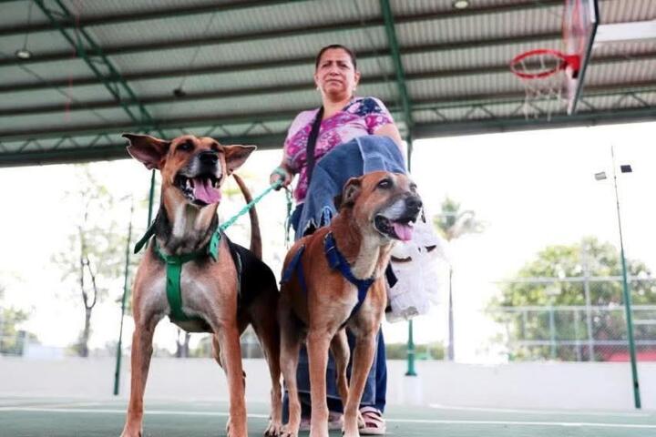 Chucho Móvil lleva servicios gratuitos a San José Terán